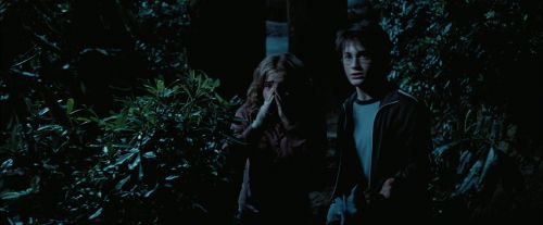 PdA-Potterish_7532.jpg
