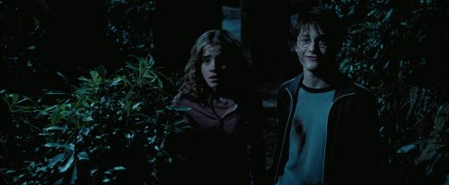 Click to view full size image
==============
PdA-Potterish_7540.jpg PdA-Potterish_7540.jpg