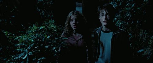 PdA-Potterish_7541.jpg