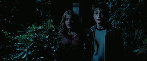 PdA-Potterish_7542.jpg