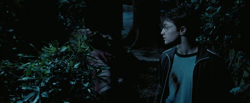 Click to view full size image
==============
PdA-Potterish_7543.jpg PdA-Potterish_7543.jpg