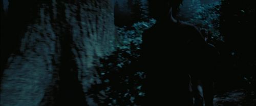 Click to view full size image
==============
PdA-Potterish_7546.jpg PdA-Potterish_7546.jpg