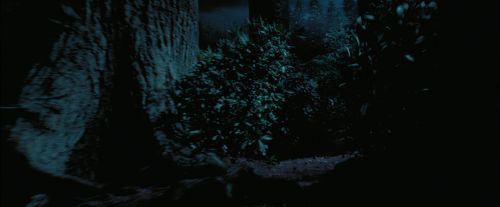 Click to view full size image
==============
PdA-Potterish_7553.jpg PdA-Potterish_7553.jpg