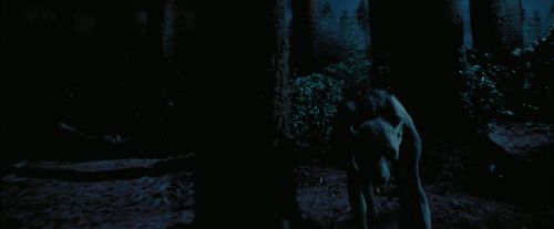 PdA-Potterish_7555.jpg