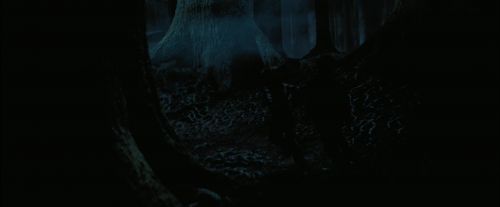 PdA-Potterish_7565.jpg