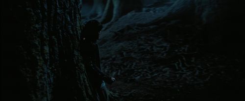 PdA-Potterish_7567.jpg