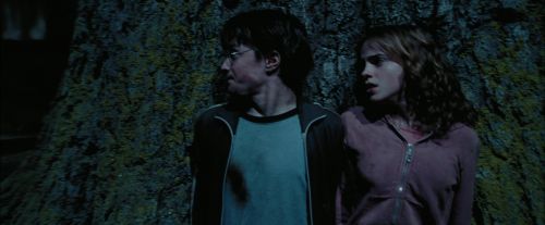 PdA-Potterish_7570.jpg