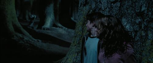 PdA-Potterish_7572.jpg