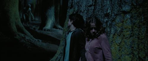 PdA-Potterish_7574.jpg