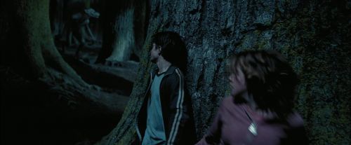 PdA-Potterish_7575.jpg