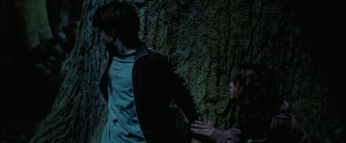 PdA-Potterish_7578.jpg