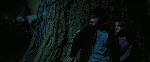 Click to view full size image
==============
PdA-Potterish_7580.jpg PdA-Potterish_7580.jpg