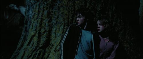 PdA-Potterish_7581.jpg