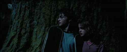 PdA-Potterish_7582.jpg