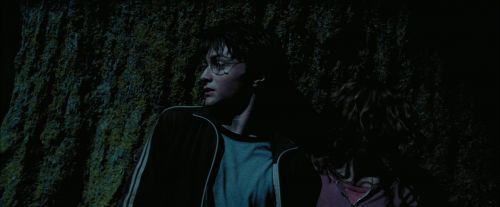 PdA-Potterish_7583.jpg