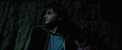 Click to view full size image
==============
PdA-Potterish_7584.jpg PdA-Potterish_7584.jpg