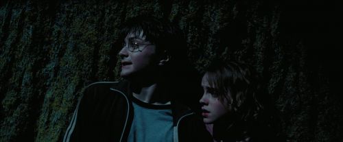 PdA-Potterish_7586.jpg