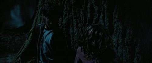 PdA-Potterish_7589.jpg