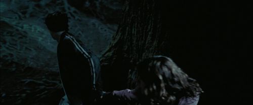 PdA-Potterish_7591.jpg
