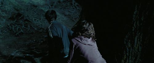 PdA-Potterish_7593.jpg