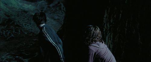 PdA-Potterish_7594.jpg