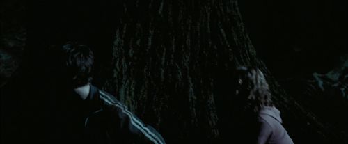 PdA-Potterish_7596.jpg