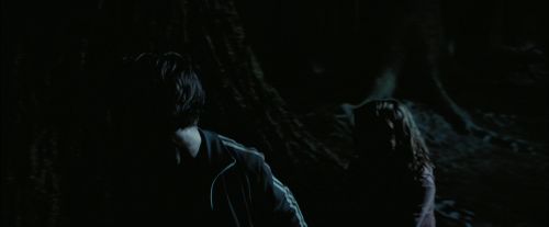 PdA-Potterish_7597.jpg