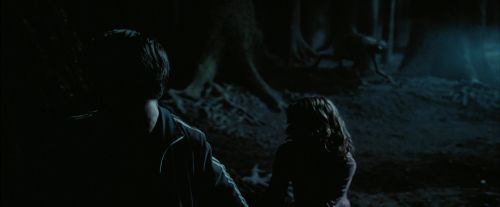 Click to view full size image
==============
PdA-Potterish_7598.jpg PdA-Potterish_7598.jpg