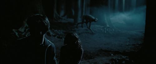 PdA-Potterish_7599.jpg