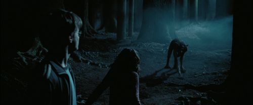 Click to view full size image
==============
PdA-Potterish_7603.jpg PdA-Potterish_7603.jpg