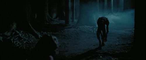 Click to view full size image
==============
PdA-Potterish_7604.jpg PdA-Potterish_7604.jpg