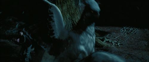 Click to view full size image
==============
PdA-Potterish_7607.jpg PdA-Potterish_7607.jpg