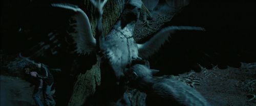 Click to view full size image
==============
PdA-Potterish_7608.jpg PdA-Potterish_7608.jpg