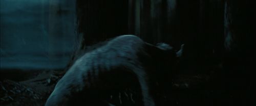PdA-Potterish_7609.jpg