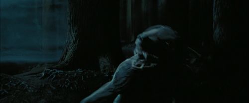 Click to view full size image
==============
PdA-Potterish_7610.jpg PdA-Potterish_7610.jpg