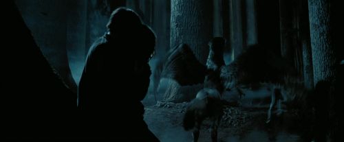PdA-Potterish_7613.jpg