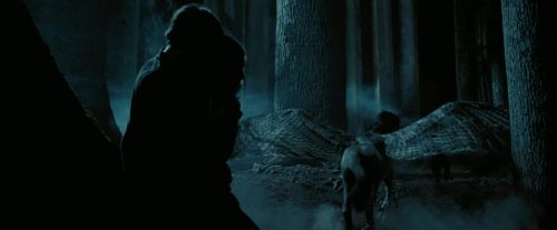 PdA-Potterish_7614.jpg
