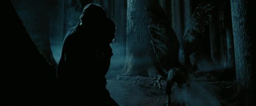 PdA-Potterish_7616.jpg