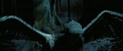 Click to view full size image
==============
PdA-Potterish_7617.jpg PdA-Potterish_7617.jpg