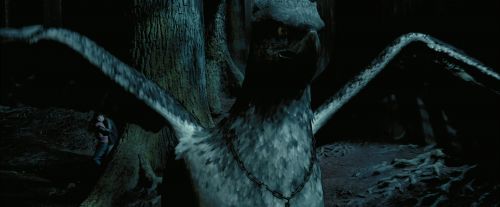 PdA-Potterish_7619.jpg