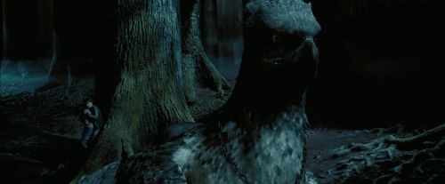 PdA-Potterish_7620.jpg