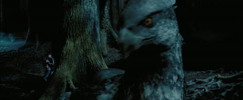 PdA-Potterish_7621.jpg