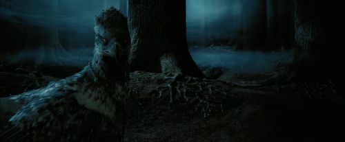 PdA-Potterish_7622.jpg