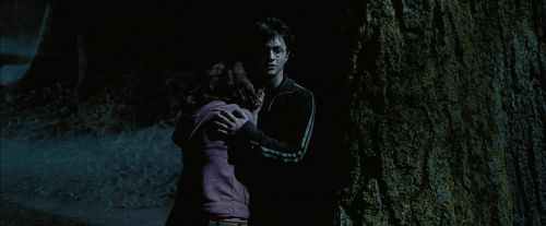 PdA-Potterish_7628.jpg