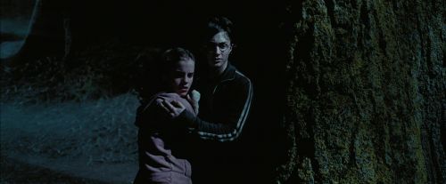 Click to view full size image
==============
PdA-Potterish_7629.jpg PdA-Potterish_7629.jpg