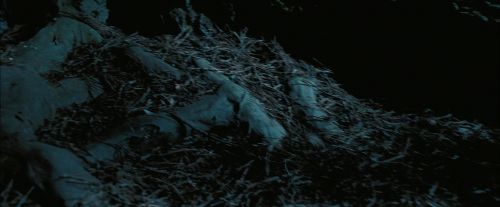 PdA-Potterish_7630.jpg