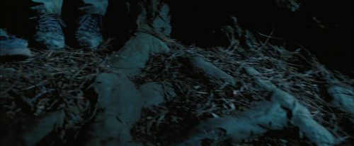PdA-Potterish_7631.jpg