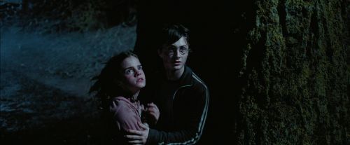 Click to view full size image
==============
PdA-Potterish_7634.jpg PdA-Potterish_7634.jpg