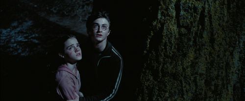 Click to view full size image
==============
PdA-Potterish_7640.jpg PdA-Potterish_7640.jpg