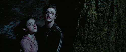 Click to view full size image
==============
PdA-Potterish_7641.jpg PdA-Potterish_7641.jpg